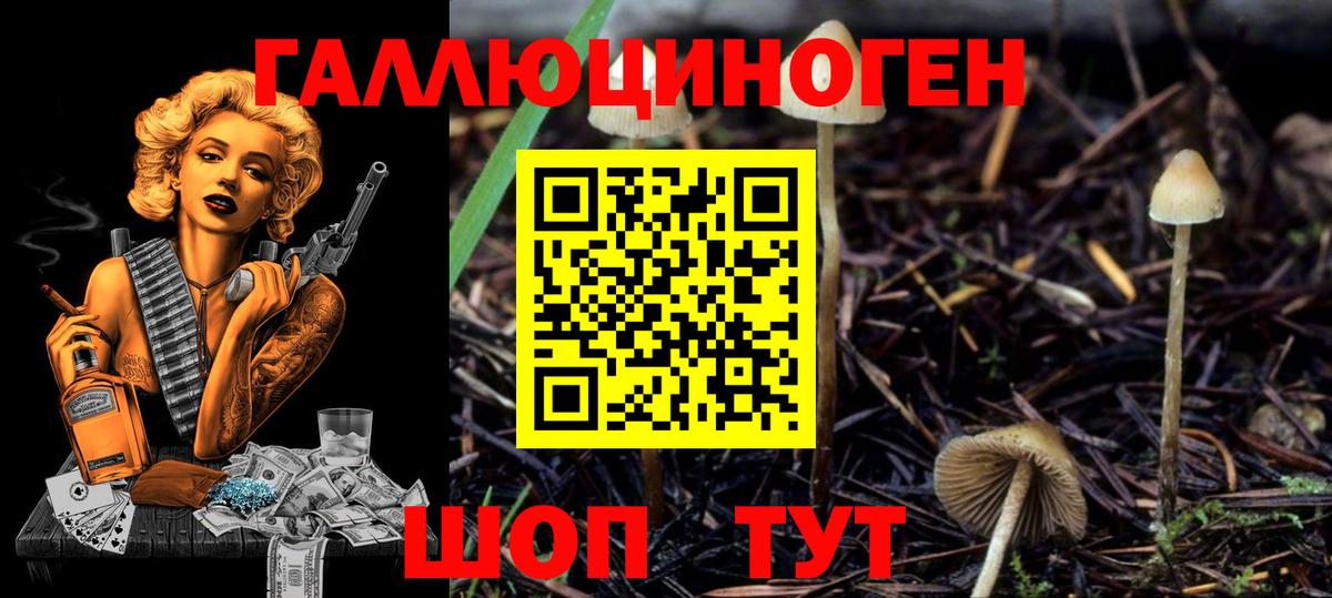 Галлюциногенные грибы ЛСД Ессентуки