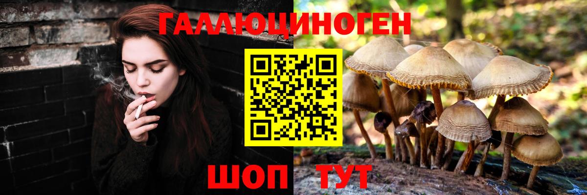 Ессентуки  Галлюциногенные грибы Magic Shrooms  Галлюциногенные грибы MAGIC MUSHROOMS  Вход с VPN 