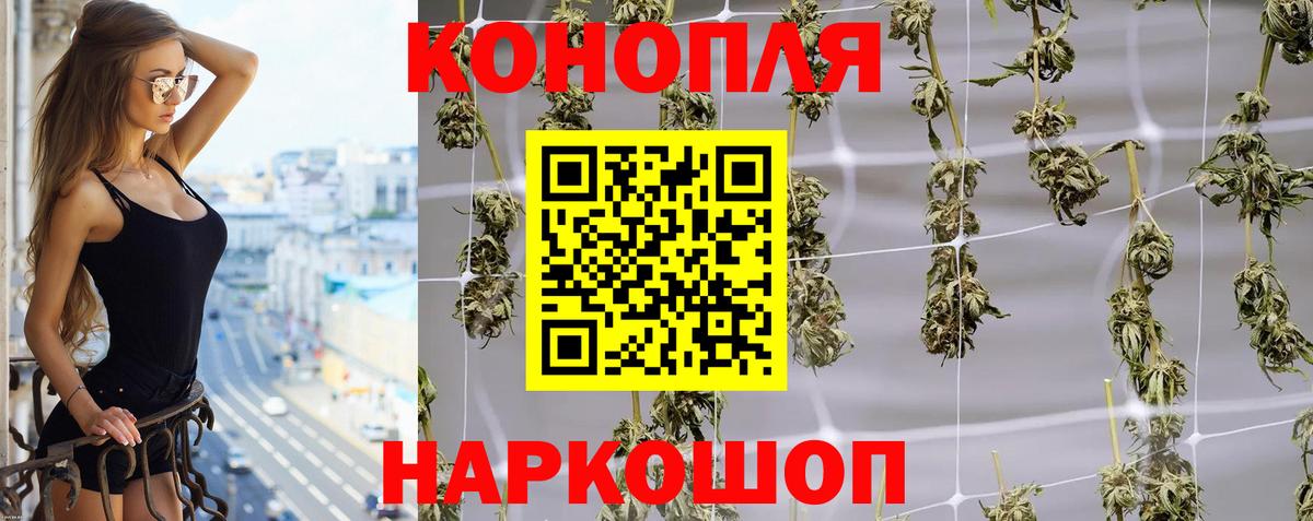 Бошки Шишки MAZAR Ессентуки